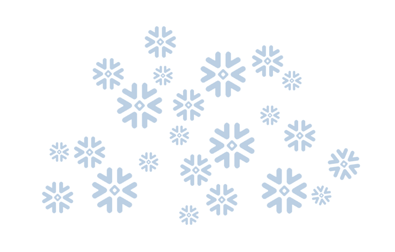 snowflake data warehouse